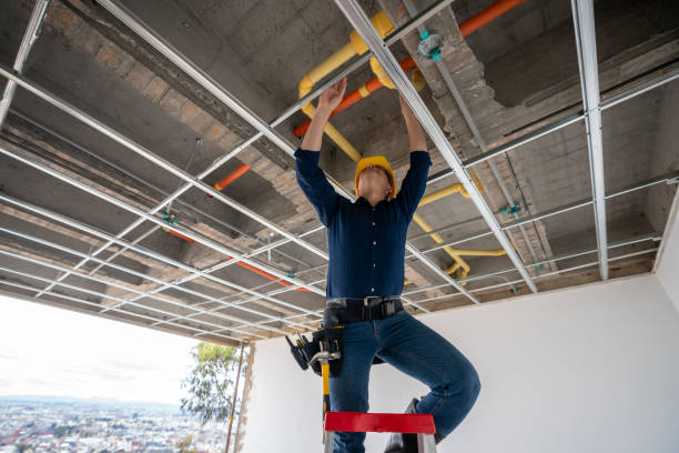 Best Plumbing Services Near Me  in Fredonia, NY