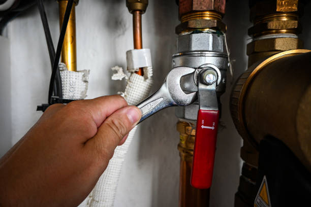 Best Residential Plumbing Services  in Fredonia, NY